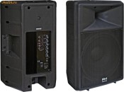 Boxe profesionale active RH Sound RHA 15/2/300P foto