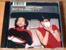 Everything But The Girl - Walking Wounded foto