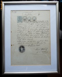 Document , Arbore , Bucovina , 1861 , inramat foto