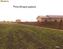 Vand Teren CLINCENI la padurea Ordoreanu 520mp (loturi casa)