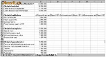 APLICATII EXCEL foto
