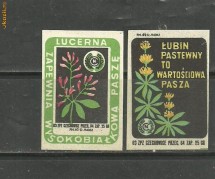 1890* POLONIA - ETICHETE CUTII DE CHIBRITURI tema FLORI PROTEJATE, 2 BUCATI DIFERITE foto