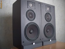 Boxe JBL TLX 25 foto