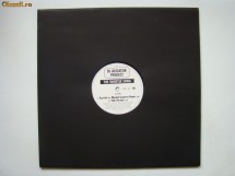 DJ Aligator Project , The Whistle Song , Discul  se afta in stare foarte buna, aproape nou foto