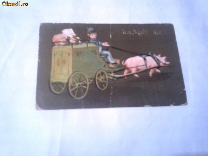 Carte Postala - Purcelul naravas    Circulata 1907 foto mare