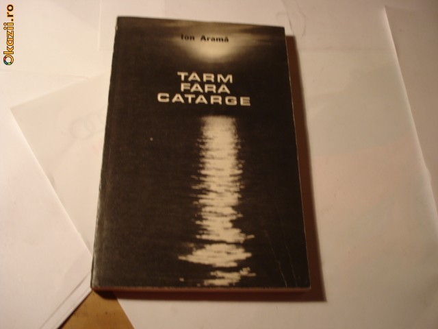 ION ARAMA -TARM FARA CATARGE foto mare