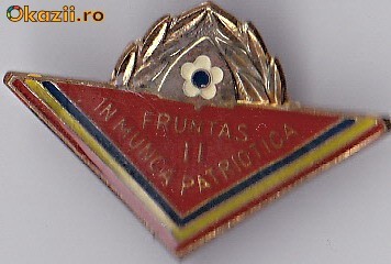 Insigna Fruntas in Munca Patriotica II foto mare