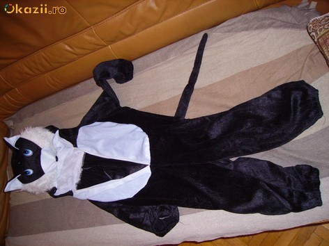 COSTUM CARNAVAL BURSUC foto mare