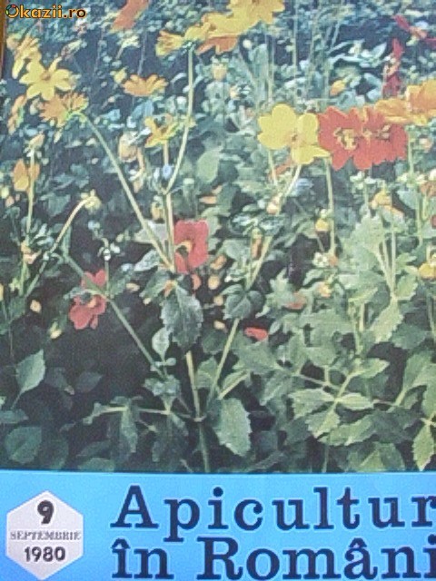 APICULTURA IN ROMANIA -SEPTEMBRIE 1980 foto mare