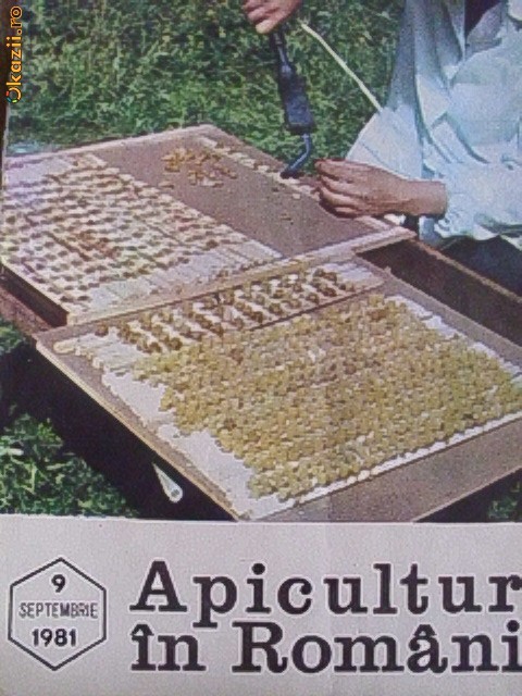APICULTURA IN ROMANIA -SEPTEMBRIE 1981 foto mare