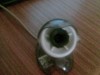 camera web CIF USB CAM Sony rezolutie inalta/camera supraveghere