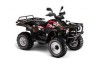 Vand ATV Linhai 300 Classic 4x4