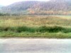 Vand teren Cocorasti