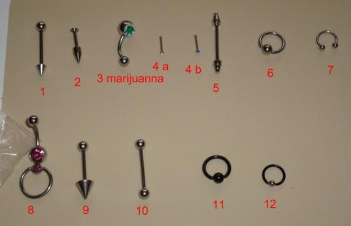 body piercing foto mare