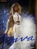 Diva Gone Platinum Barbie 2001 - papusa negresa superba!