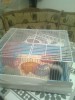 Hamsteri