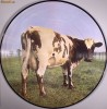 Pink Floyd - Animals, LP vinyl