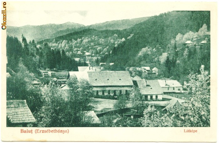 Baiut/Erzsebetbanya/Maramures,aprox.1920,rara! foto mare