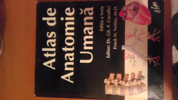 Atlas Anatomie Umana