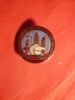 Insigna 50 Ani Combinat Petrochimic Brazi 1984