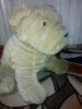 Catel Shar-pei din plus marime XXL