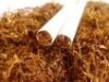 oferta tutun firiceleee 2 kg la 400 roni si maruntit la 350 roni procesat fermentat aburit an baie de aburi arome california de fabrica toate aromele
